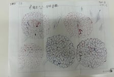 '징역 1년' 감옥 간 스토킹범 "곧 봐요^^ 찾으러 갈게요"...피해자에 편지