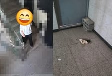 세입자 퇴실 후 출입문 앞에 '배설물'..."CCTV 보니 딱 한 명"