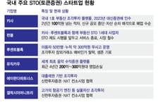 혁신금융 STOP… 토큰증권 스타트업 문닫는다