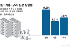 반도체 호황에 개발 호재까지… '갭투자 가수요 억제' 타이밍