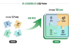 SK, KKR 손잡고 국내 최대 신재생에너지 통합기업 만든다