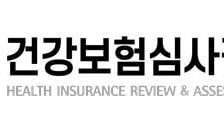 심평원, 'AX혁신실' 신설…1급 인사 단행