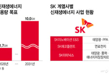신재생 묶어서… SK, 통합법인 띄운다