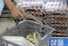 최고가격제로 물가 0.4%p↓…정부 "하반기 물가상승률 3% 이내로"