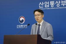 "숫자만 보면 M&amp;A·수도권 집중…실상은 첨단산업 공급망 투자"