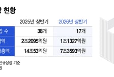 "치킨값 벌고 빠지자" 6개월도 못 가고 시들…새내기주 현재 스코어는