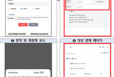 결제창에 카드 비밀번호 전체 입력?...'피싱' 소비자경보 발령