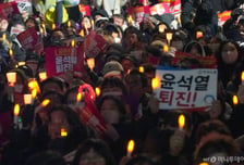 2030 여성들의 '다만세', 민주당 향한 응원가?...데이터는 다른 말을 했다