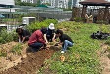 중랑경찰서 직원들이 키운 감자 90㎏, 지역 어르신에 기부