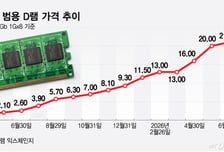 PC 시장 덮친 'D램 쇼크'..HP는 출하량 급감-애플은 중국 메모리 검토