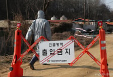 아프리카돼지열병 방역 전면 강화 …사료·불법축산물·멧돼지 집중 관리