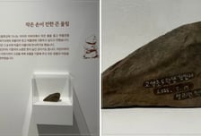 평범한 돌인데 "유물 발견, 기증!"...꼬마 순수함에 박물관 '특별전시'[오따뉴]