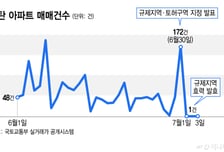 10억 찍은 아파트도 6억대 급매…동탄 집주인들 규제 전날 '막차 행렬'