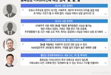 "사실상 금지" vs "구멍 숭숭"…중복상장 가이드라인, 양쪽 다 불만