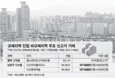 "8.6억 집, 11억 됐다" 동탄 누르자 평택 폭주...남양주까지 '풍선효과'