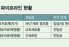 바이젠셀, 림프종 치료제 상업화 속도…"글로벌 시장 관심 확인"