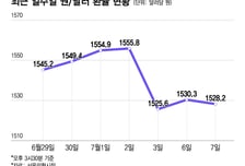 SK하이닉스 ADR, 불타는 환율 식혀줄까