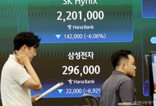 삼전닉스 7% 하락 불똥…美반도체주도 파란불[뉴욕마감]