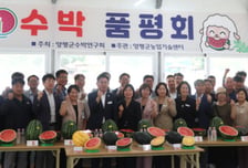 "수박계 우량주 등장" 경기도 최대 산지 양평군 '조생흑미' 신품종 1위