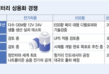 'LFP 교훈' 새긴 K배터리…소듐이온' 양산 시계 가속