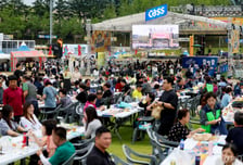 술 줄이던 MZ도 여기선 '술술'…"판매량 50% 껑충" 축제 정조준