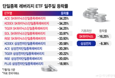 하닉 16% 뛸 때 레버리지 27% '뚝'…동시호가 맹점에 개미 '피눈물'
