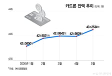 "강제청산 될라" 빚투 부메랑, 카드빚으로 막았다…도박판 증시 민낯