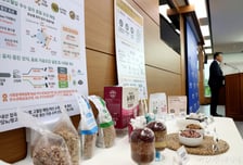 당뇨·고혈압 잡는 '잡곡밥 황금비율' 찾았다...농진청 특허 등록