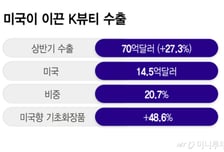역대 최대 수출·미국 1위…국민연금도 베팅한 K뷰티 성장