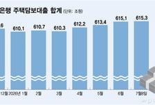 모기지보험 제한에 대출한도 축소…은행권 줄줄이 주담대 빗장