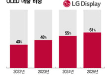 메모리 가격 뛰자… LGD 'OLED' 뜬다
