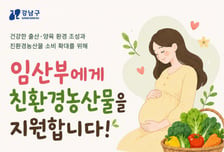강남구, 임산부 1764명에 친환경 농산물 24만원 지원