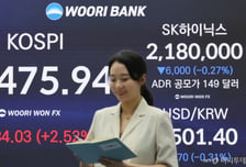 기관이 끌어올린 양대 시장…코스피 2%대·코스닥은 5%대 상승 마감