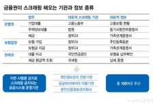 책임 미룬 금융사·기관·정부…금융권 "스크래핑 금지 미뤄야"