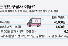 '가짜 응급' 앰뷸런스, GPS로 잡는다