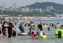 '경고 없다' 바가지 씌우면 바로 영업정지…배짱 숙박요금 칼 뺐다