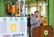 영주시, 여름사과 '썸머킹'·'썸머프린스' 본격 출하