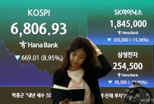 "오른 업종이 없다" 30만전자·200만닉스 깨져…코스피 6800선 마감