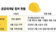 대형 건설사 공공재개발 '러시'…롯데건설도 출사표