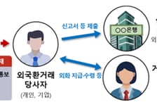 "1달러 투자도 신고하세요"…외국환 신고 의무 위반 1072건 적발
