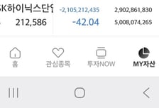 50억이 29억으로...하이닉스 '레버리지' 개미 "-21억, 그래도 버틴다"