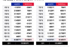 "35% 폭락? 너무 싸" 7월 삼전닉스 13조 싹쓸이…강심장 개미 돌격
