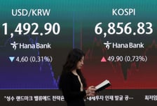 엔비디아도 이 정도는 아닌데..."변동성 클 수밖에" 외신이 본 '롤러코스피'