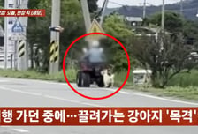 "바퀴 깔리면 어쩌려고"…사륜차에 목줄 묶어 개 질질 끌고 가