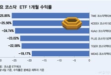 외인 사는데 그 많던 개미들 어디에…800 회복 코스닥, ETF는 -20%대