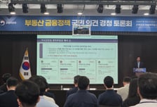 "대출 총량규제, 충분치 않아…고액 차주 대상 부담금 부과 필요"