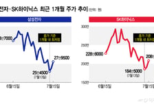 美 반도체 랠리 재개…삼성전자·SK하이닉스 '쑥'