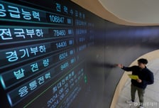 '탈원전' 프레임 넘는 '전력 주권'…에너지 안보없이 성장도 없다
