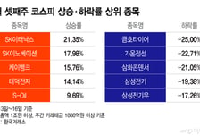 'S7'도 우수수…매일 사이드카 울린 하락장서 오른 종목은?[김근희의 증시랩업]