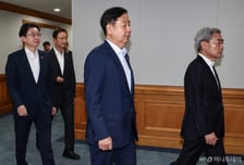 한계 명확한 단일종목 레버리지 대책…"변동성 낮추기엔 역부족"